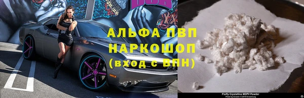 индика Шадринск