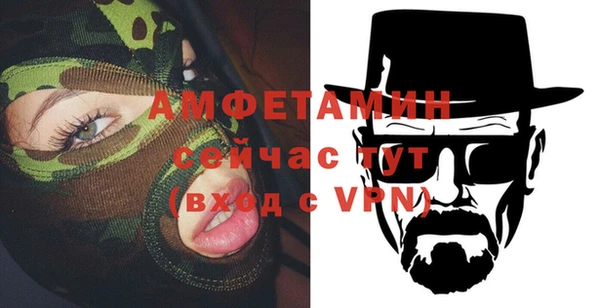 индика Шадринск