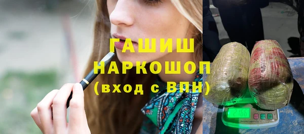 индика Шадринск
