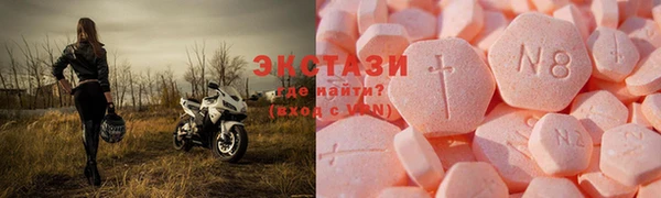 индика Шадринск