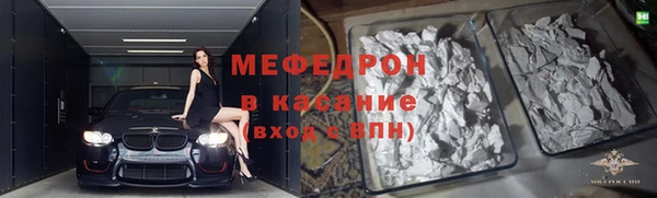 индика Шадринск