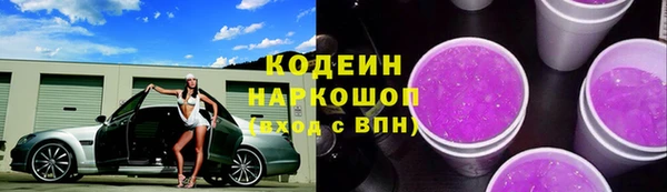 индика Шадринск