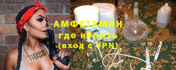 индика Шадринск