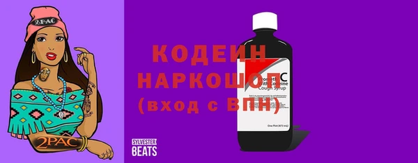 индика Шадринск