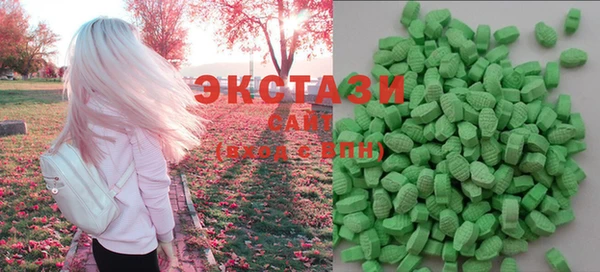 индика Шадринск