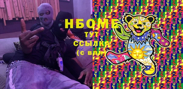 индика Шадринск