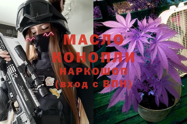 индика Шадринск