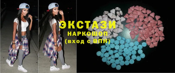 индика Шадринск